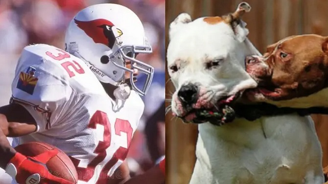 F: Fotomontaje Marca