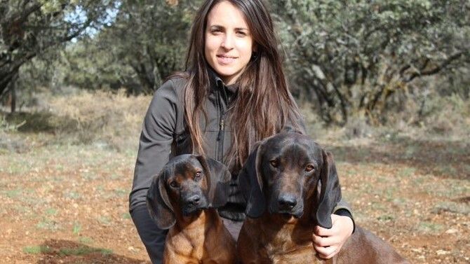 F: @fedcazacv F: @fedcazacv