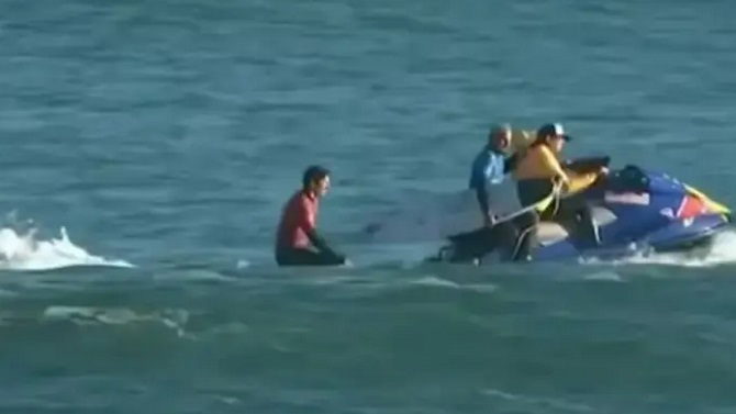Interrumpen el campeonato mundial de surf en Nueva Zelanda por el ataque de una foca