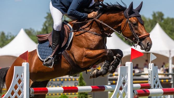 La Madrid Horse Week regresará a Ifema en noviembre con una tercera Copa del Mundo