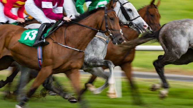 F. Shutterstock F. Shutterstock