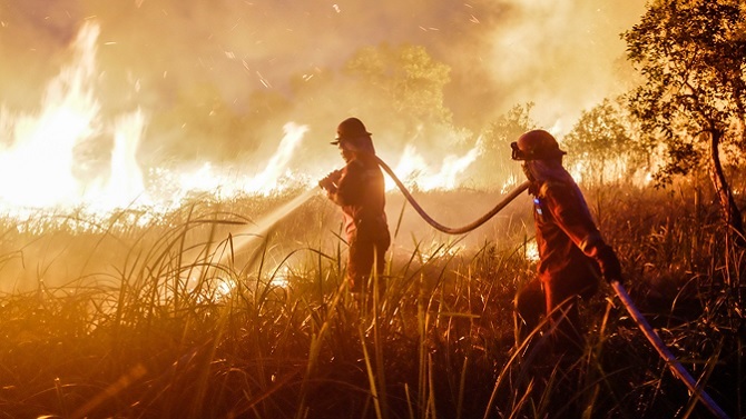 Singapur suspende la final de la Copa FA por el humo tóxico de los incendios en Indonesia