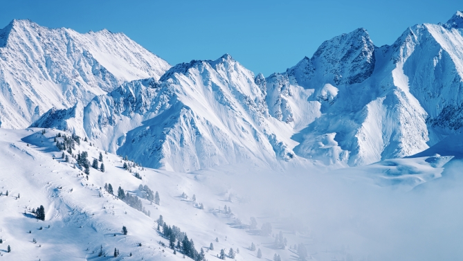 Imagen de archivo / F. Shutterstock